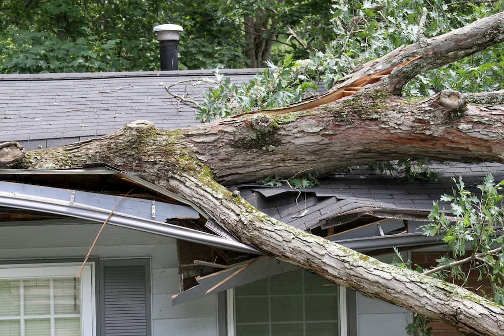 Storm damage to a roof